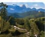 Asheville, NC pet-friendly destination